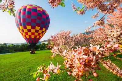 Zbor cu balonul de aer cald (gift card)