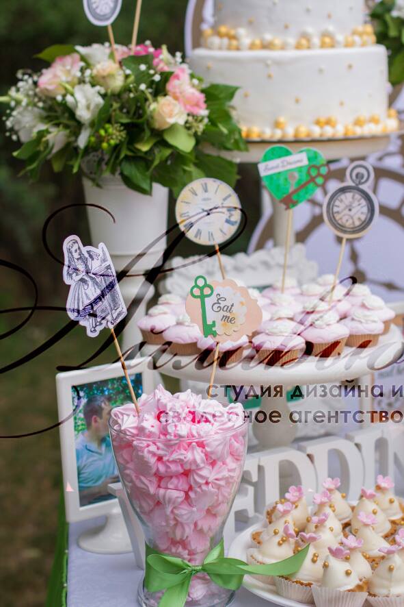 11220835_1191279540885876_3651816866891764202_n